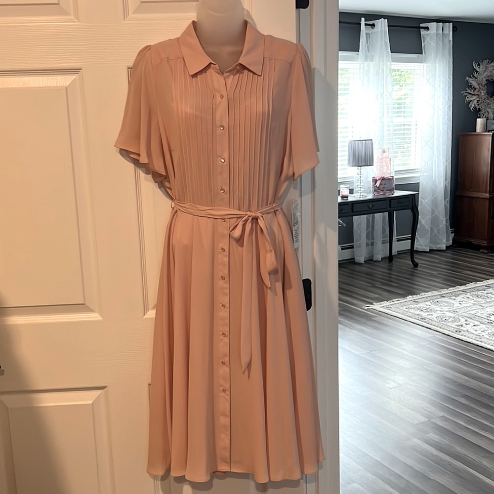 Pale Pink dress